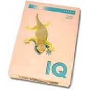 FAREB.XER.PAPIER-PASTELOVA-LOSOSOVA SA24 A4 80g IQ